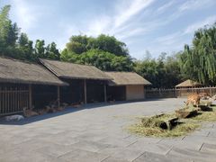 -金沙遗址博物馆