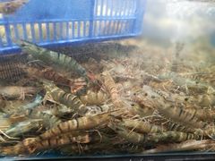 -盒马鲜生(曜一城店)