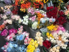 -循礼门鲜花花市(武汉循礼门店)