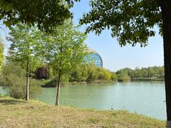 -泗洪洪泽湖湿地景区