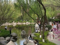 -西安青龙寺遗址景区