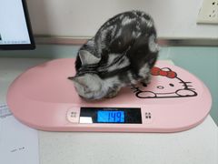 -达爱动物医院·犬猫分区·CT·复杂眼科(远洋山水分院)