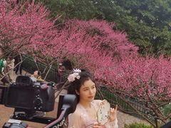 -重庆彩云湖湿地公园