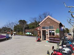 -新江湾城公园