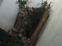 -程十发艺术馆