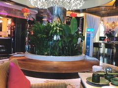 -润园四季椰子鸡火锅(海上世界店)