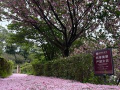 -窦圌山风景区