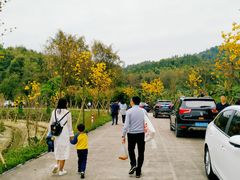 -红山村