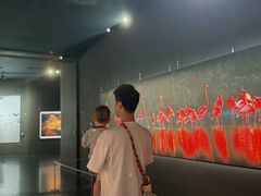 -罗红摄影艺术馆