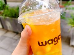 -Wagas沃歌斯(大学路店)