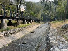 -白水寺森林公园