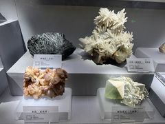 -湖南省地质博物馆