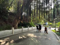 -晓港公园