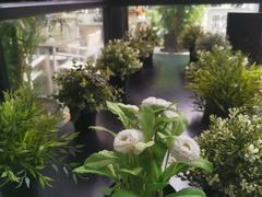 -813芭依珊 BAESAn(皇冠十畝地店)