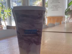 -Blueglass酸奶(财富购物中心店)