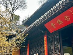 -灵谷景区