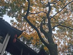 -杭州黄龙洞