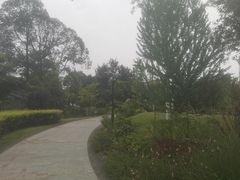 -成飞公园