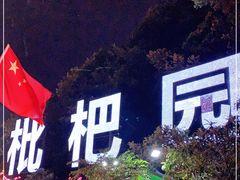 -枇杷园食为鲜火锅(南山店)