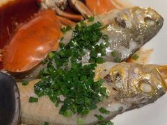 -三利音·玖弄小鲜(浦东嘉里城店)