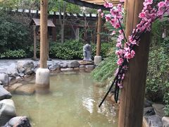 -张家港金凤凰度假村温泉