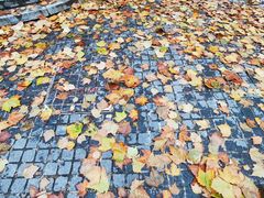 -殷姐糯米包油条