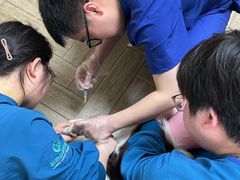 -联合动物医院(光谷诊疗中心)
