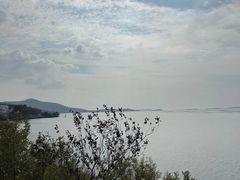 -美味之家·湖景农家乐(太湖东山店)