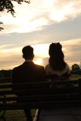 -金夫人婚纱摄影(华南店)