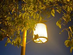 -东钱湖旅游度假区