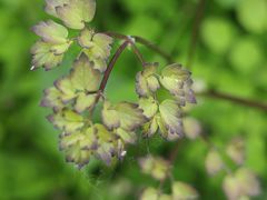 -北京植物园-展览温室