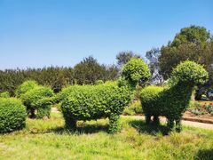 -武汉紫薇都市田园