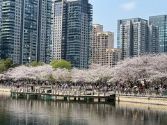 -西北湖绿化广场