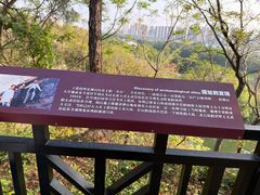 -王借岗森林公园