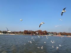 -东湖落雁景区