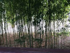 -张家港凤凰山景区河阳山歌馆