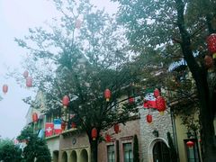 -中旅阿那亚九龙湖·公主酒店