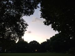 -上海共青森林公园