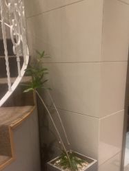 -觅境SPA·私享空间