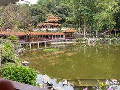 -深圳仙湖植物园