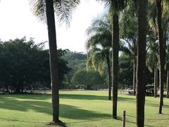-深圳仙湖植物园