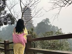 -缙云山景区