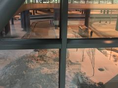 -谢列梅捷沃国际机场