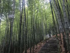 -广州市石门国家森林公园