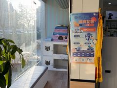 -瑞派·关忠动物医院·异宠专科·犬猫肿瘤·皮肤专科(望京店)