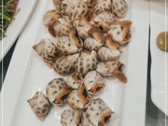 白灼花螺-华盛丰温州大排档(东三环南路店)