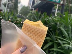 -詹爷爷乌节路街头冰淇淋