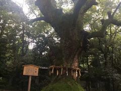 -热田神宫