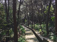 -铁山坪森林公园