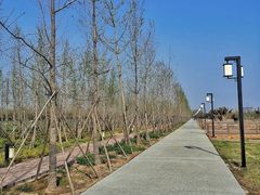 -汉长安城未央宫国家考古遗址公园